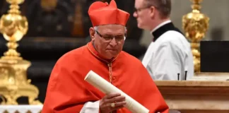 Cardenal de Guatemala