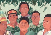 defensores indígenas