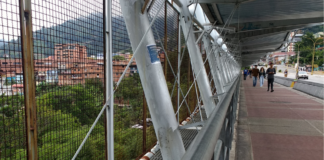 Suicidios en Mérida
