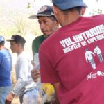 Día internacional del voluntariado