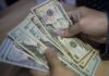 dinero - salarios - billetes - dólares