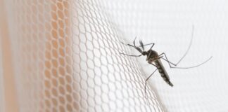 Dispositivo con IA para detectar malaria