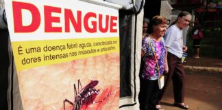 Río de Janeiro declaró la emergencia por dengue