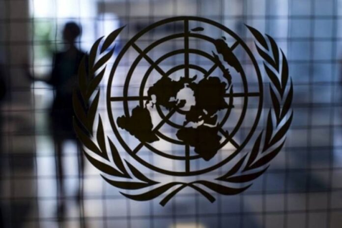 CIDH y ONU
