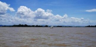 Transporte fluvial en el Delta