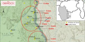 Muerte de 85 indigenas Yanomami