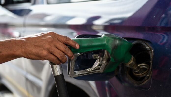 gasolina