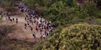 Papa Francisco a los migrantes del Darién