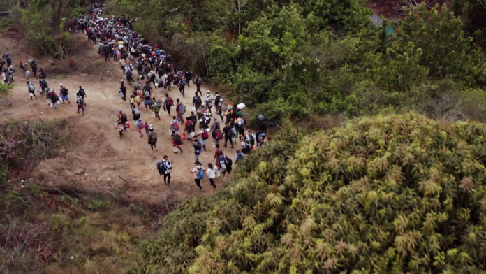 Papa Francisco a los migrantes del Darién