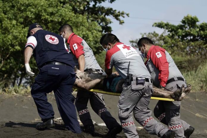 Protección para migrantes en transito