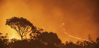 Incendio en Canaima