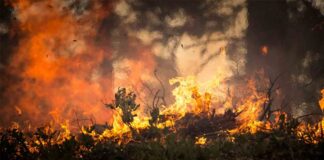 Incendios en Venezuela