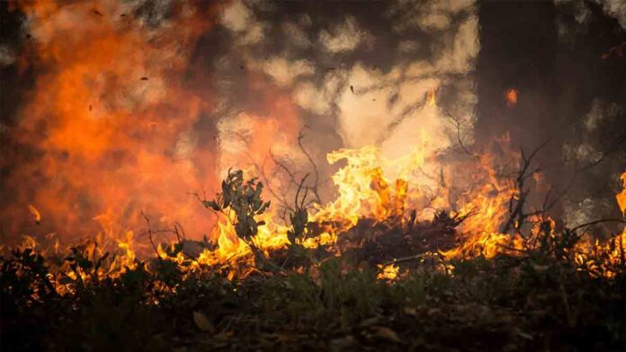 Incendios en Venezuela