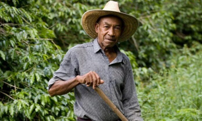 campesino