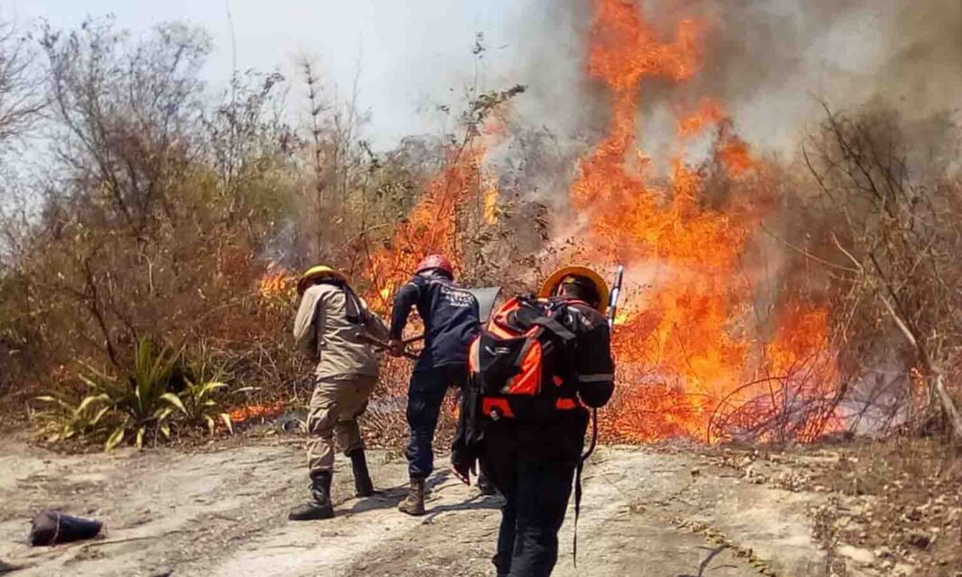 Incendios forestales