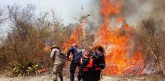 Incendios forestales