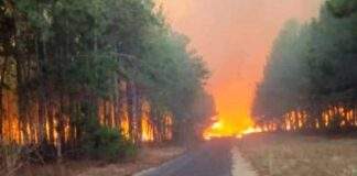Desalojan a más de 700 personas por incendio en Monagas Incendio