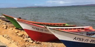 Pescadores de Margarita