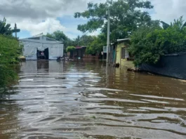 Migraciones climáticas