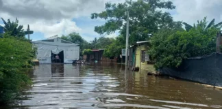 Migraciones climáticas