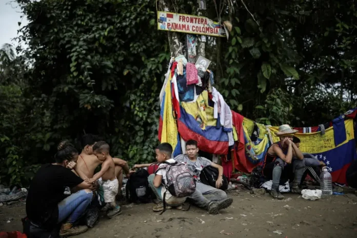 Migrantes