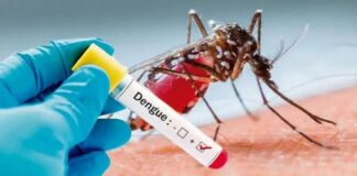 Dengue en Venezuela