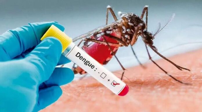 Dengue en Venezuela