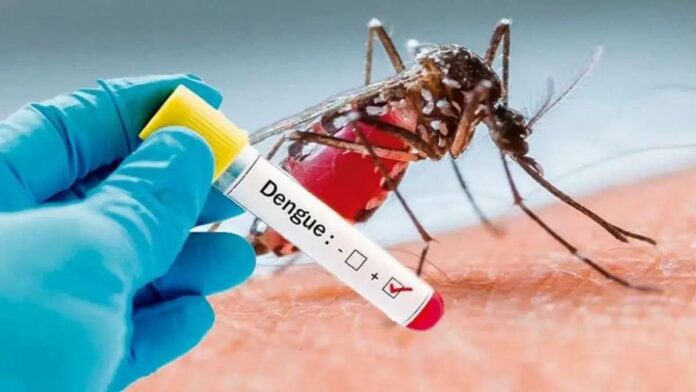 Dengue en Venezuela