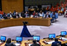 El Consejo de Seguridad de las Naciones Unidas