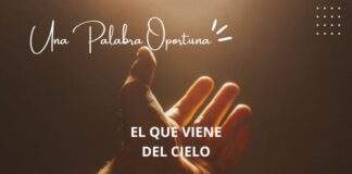 Una Palabra Oportuna 3181