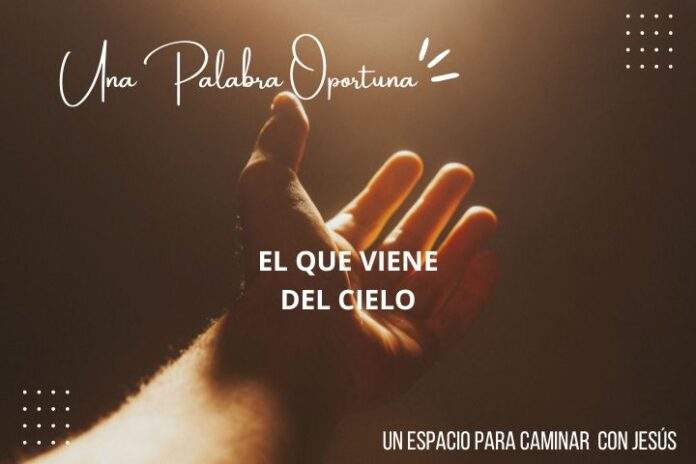UPO 11042024 MAÑANA
