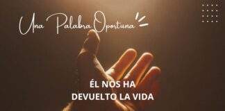 Una Palabra Oportuna 3196