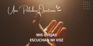 Una Palabra Oportuna 3205