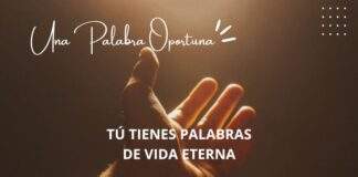 Una Palabra Oportuna 3208