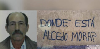 Alcedo Mora