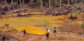 Contaminación por mercurio