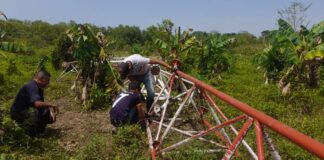 radio fe y alegria