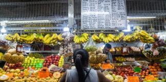 Canasta Alimentaria Familiar