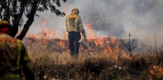 Incendios forestales