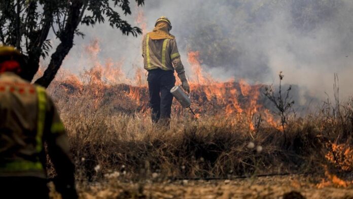 Incendios forestales