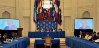 Panel de expertos internacionales