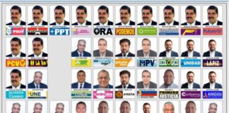 tarjeton electoral