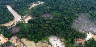 Extractivismo