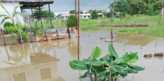 La comunidad Cristo Viene, en San Fernando de Apure, recientemente cumplió 14 años de existencia, pero sigue sumida en problemas.