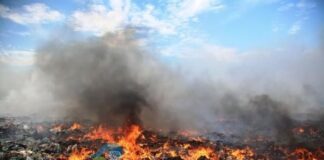 Día Mundial contra la Incineración de Residuos