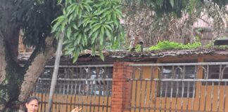 Escuelas occidente Carabobo