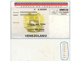 Fraude Electoral