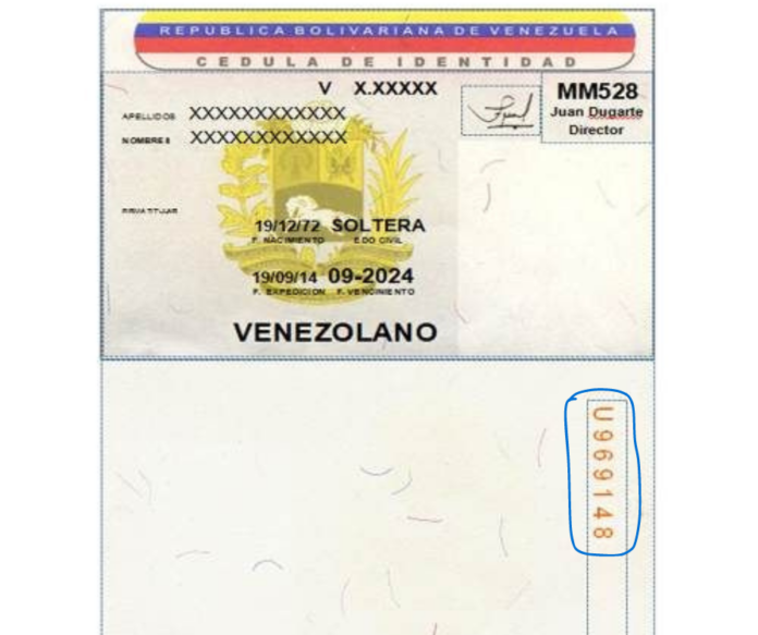 Fraude Electoral