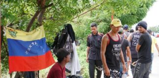 Desplazados