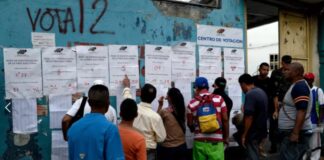 expertos electorales